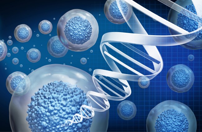 Células del organismo y ADN