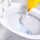 Close-up toilet bowl with brush and blue wate