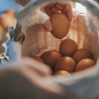 ¿Son mejores los huevos de gallinas caseras que los comerciales?